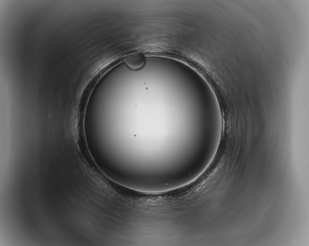 X0000096131410200801181103