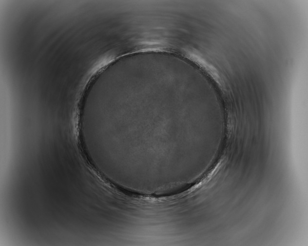 X0000096131411200801181103