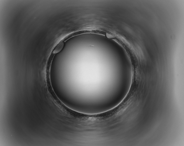 X0000096131412200801181103