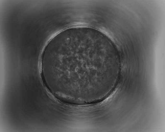 X0000096131413200801181103