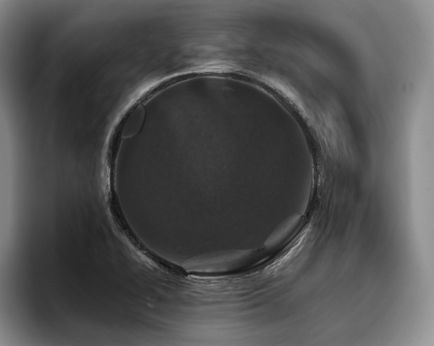 X0000096131414200801181103