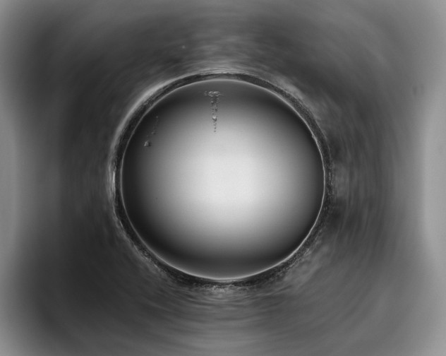 X0000096131416200801181103