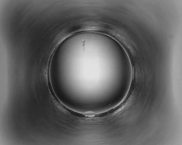 X0000096131417200801181103