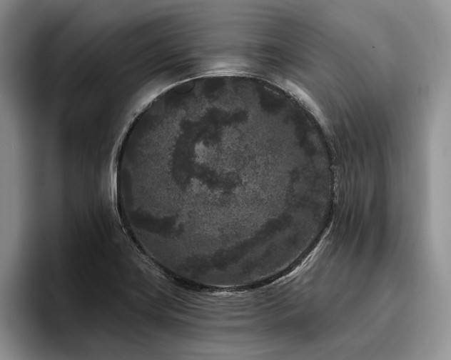 X0000096131419200801181103