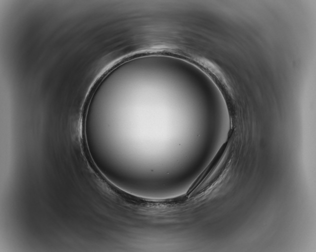 X0000096131420200801181103