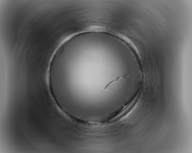 X0000096131421200801181103