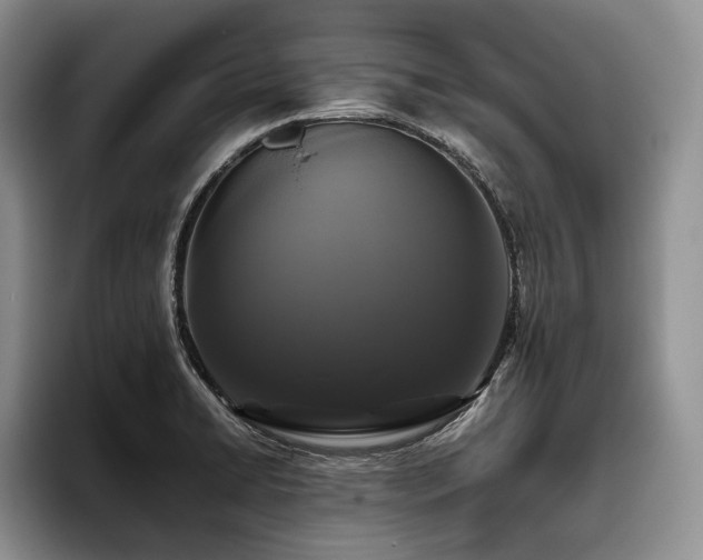 X0000096131422200801181104