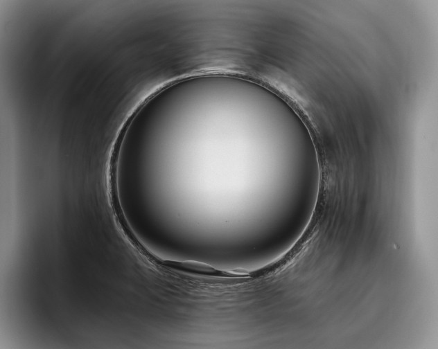 X0000096131423200801181104