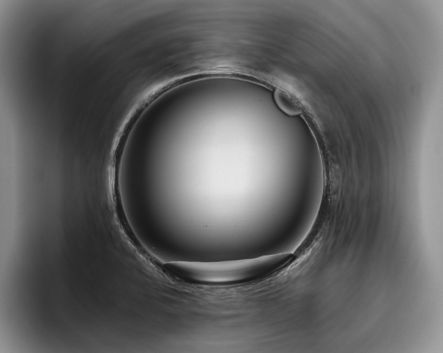 X0000096131424200801181104