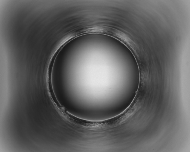 X0000096131426200801181104