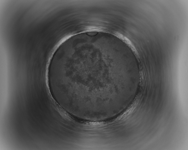 X0000096131427200801181104
