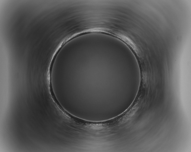 X0000096131428200801181104