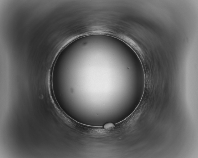 X0000096131431200801181104