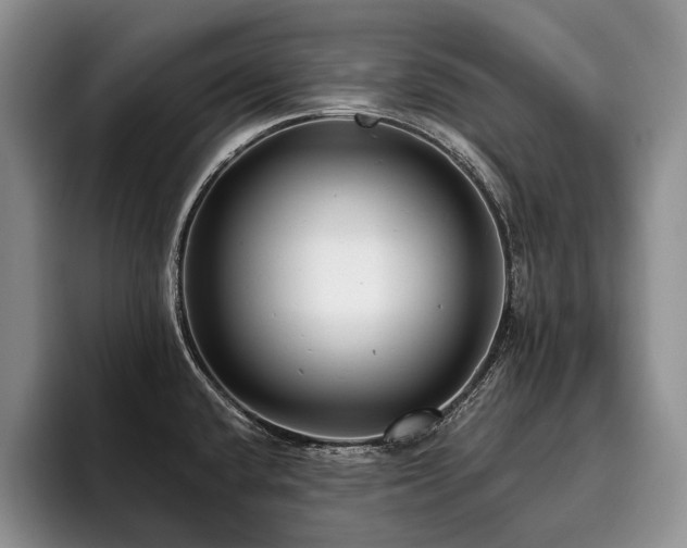 X0000096131432200801181104