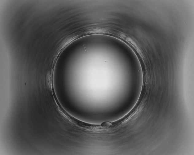 X0000096131433200801181104