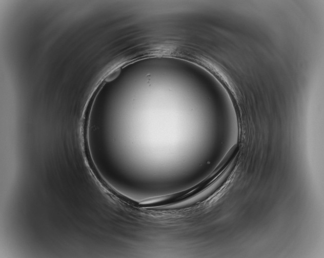 X0000096131434200801181104