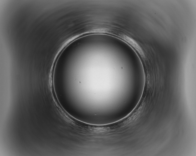 X0000096131436200801181104