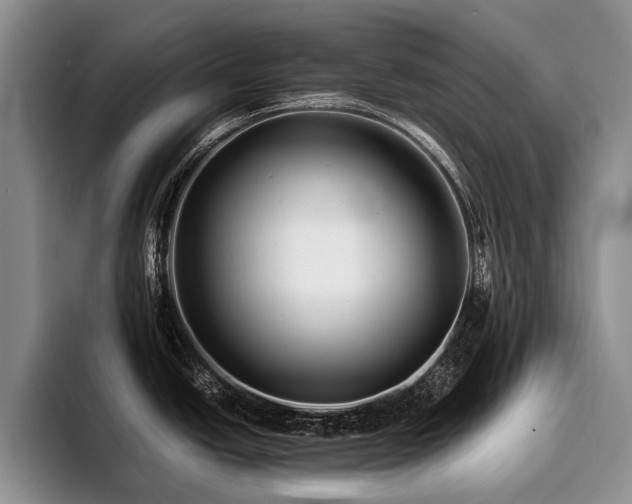 X0000096131438200801181104