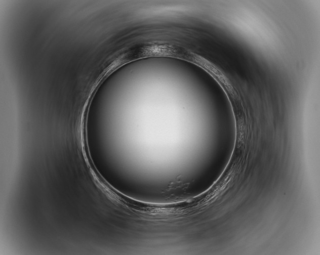 X0000096131439200801181104
