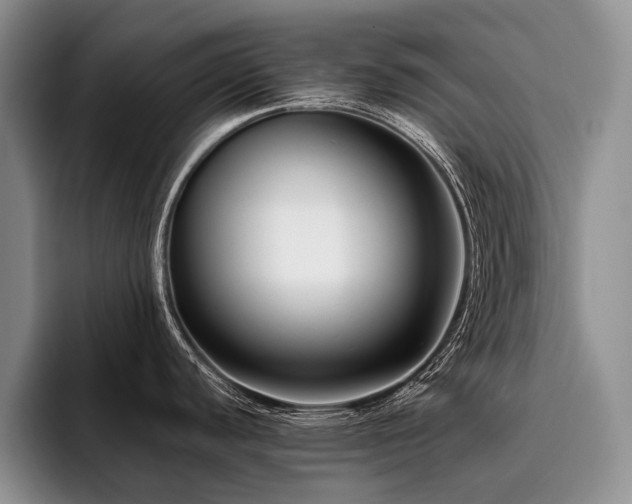 X0000096131440200801181104