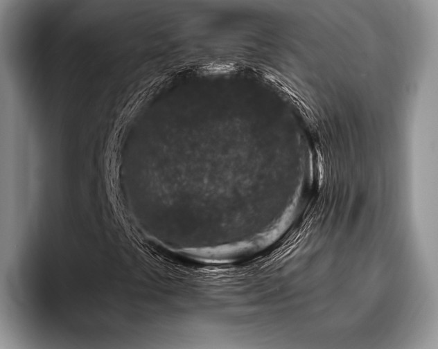 X0000096131441200801181103