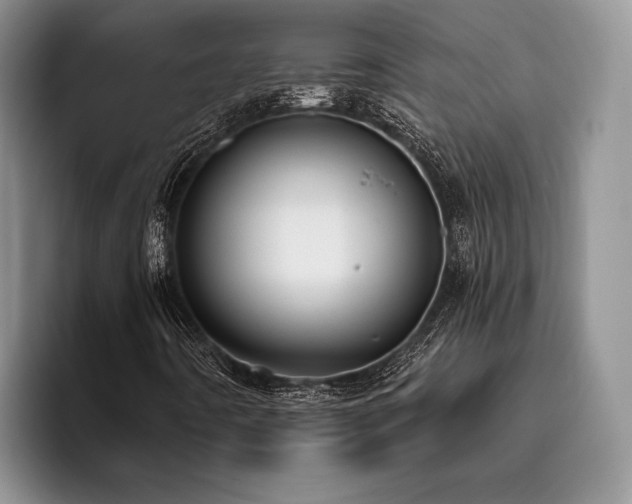 X0000096131442200801181103