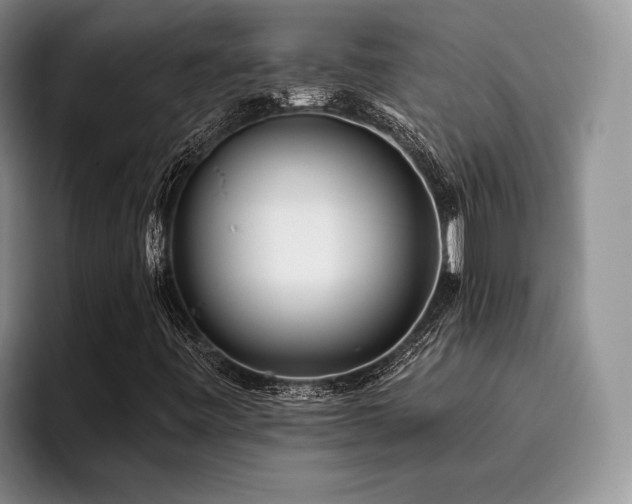 X0000096131443200801181103