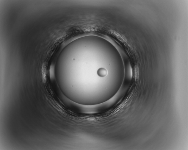 X0000096131444200801181103