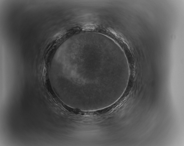 X0000096131445200801181103