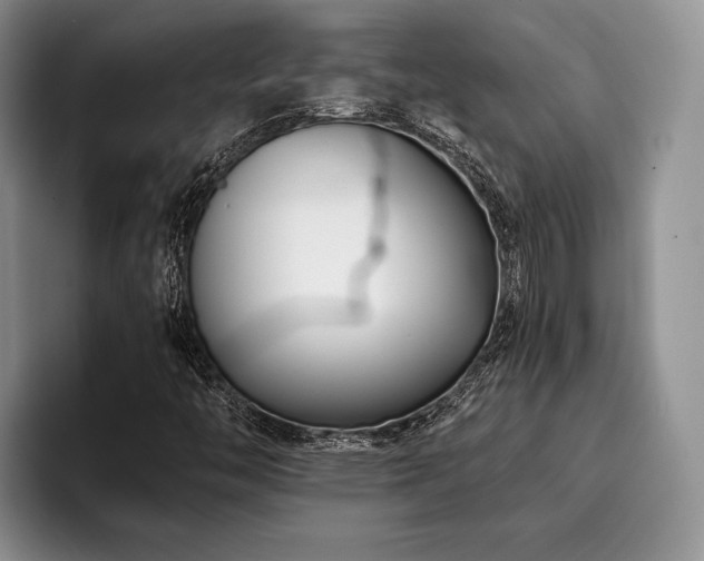 X0000096131446200801181103
