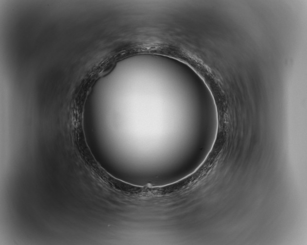 X0000096131447200801181103