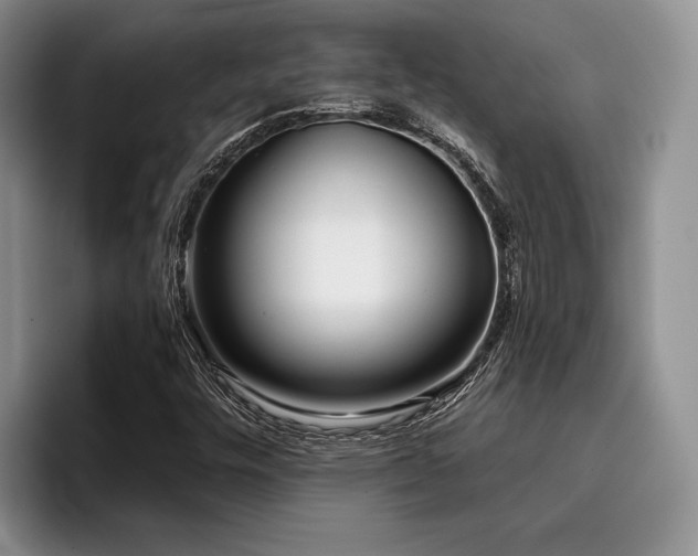 X0000096131448200801181103