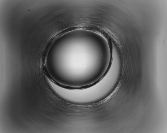 X0000096131449200801181103