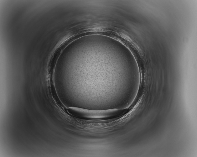 X0000096131450200801181103