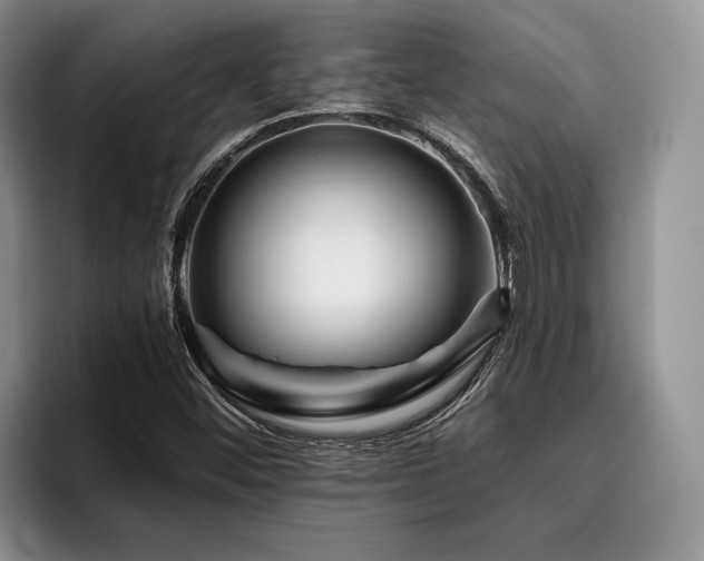 X0000096131452200801181103