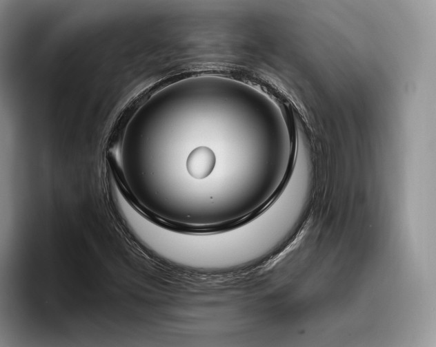 X0000096131453200801181103