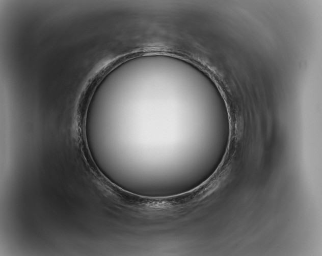 X0000096131454200801181103
