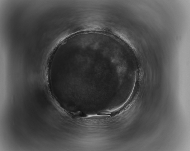 X0000096131455200801181103