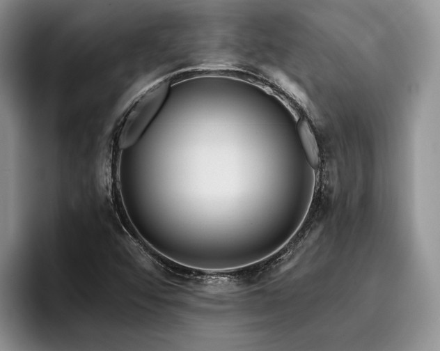 X0000096131456200801181103