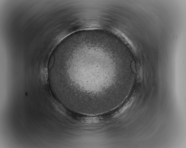 X0000096131457200801181103