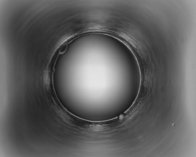 X0000096131458200801181103