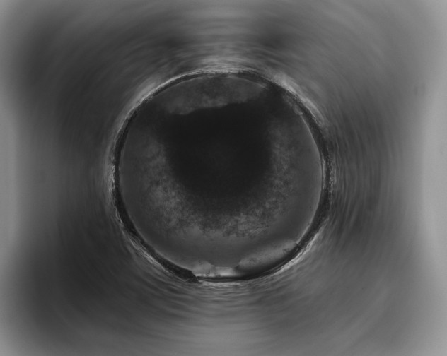 X0000096131459200801181103