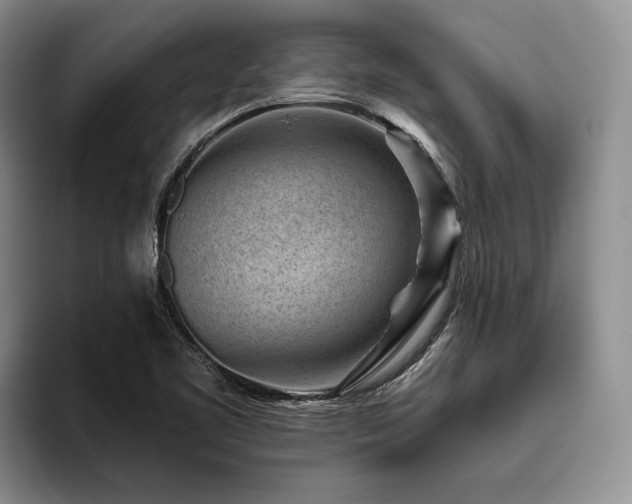 X0000096131461200801181103