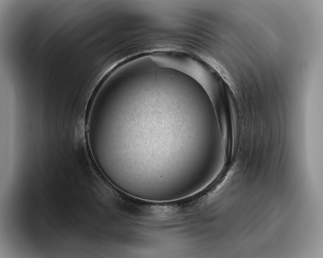 X0000096131465200801181103