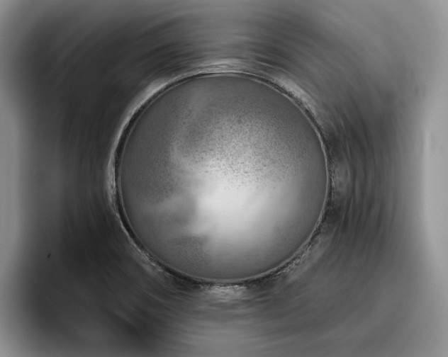 X0000096131466200801181103
