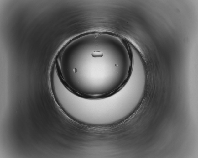 X0000096131468200801181103