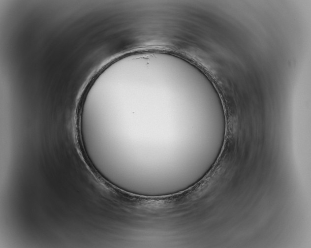 X0000096131470200801181103