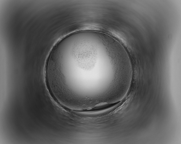 X0000096131471200801181103