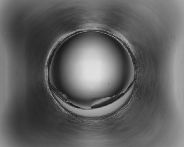 X0000096131472200801181103