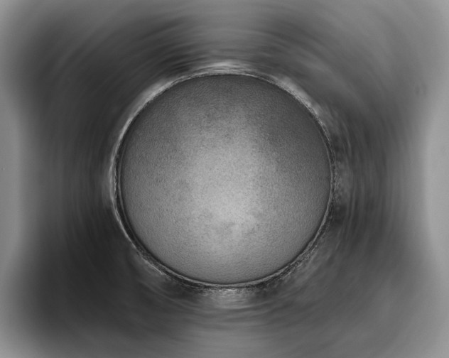 X0000096131474200801181103